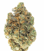5 PACK PRE-ROLLS - SHORTIES - NOVARINE