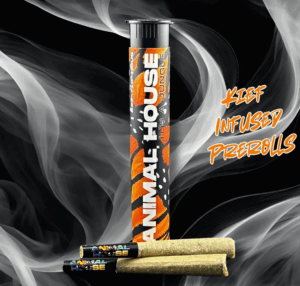 2 PACK INFUSED PRE-ROLLS - CANNALOUPE CRUSH