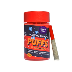 7 PACK INFUSED PRE-ROLLS - PURPLE HAZE