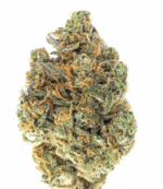 10 PACK PRE-ROLLS - MALEFI-SCENT