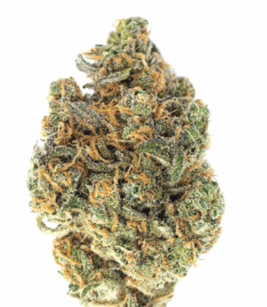 10 PACK PRE-ROLLS - MALEFI-SCENT