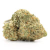 Afghan Hammer Strain
