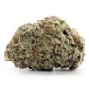 Blackwater Strain