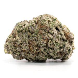 Blackwater Strain