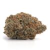 Black Widow Strain