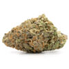 Candy Jack Strain