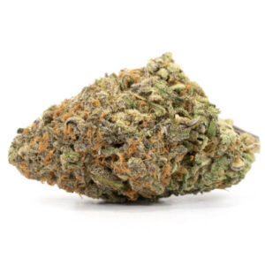 Candy Jack Strain