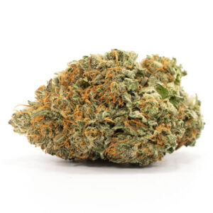 Comatose Strain