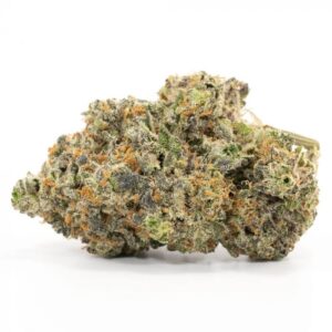 Creme Brulee Strain