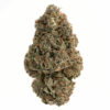 Gas Face Strain