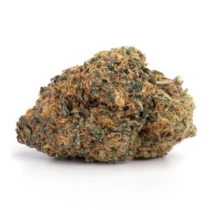 GOD Bud Strain
