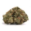 Jack Herer Strain