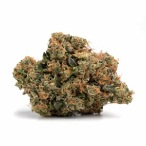 Moby Dick Strain